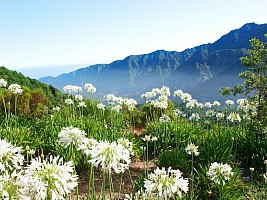 MADEIRA - EXOTICKÝ RÁJ