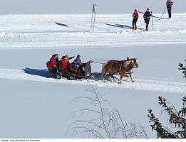 Hotel Post Ramsau am Dachstein