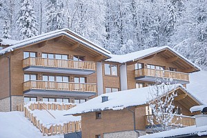 Chalet Dorf Wagrain Alpenleben